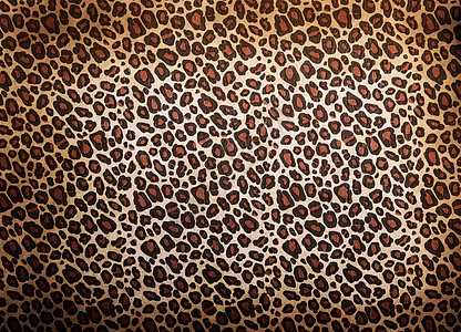 豹型式野生动物织物墙纸皮革正方形情调材料毛皮平铺插图图片