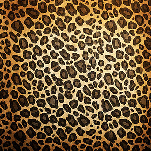 豹型式正方形猎豹纺织品老虎情调野生动物材料毛皮动物园织物图片