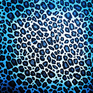 豹型式正方形纺织品情调皮肤材料橙子老虎墙纸野生动物异国图片