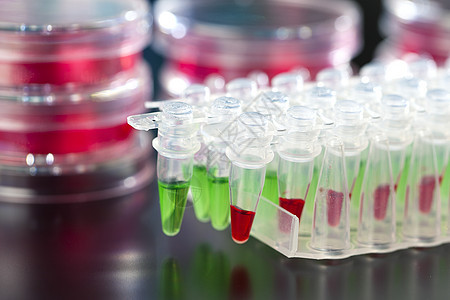 PCR 用于DNA放大的立方体化学工具盘子塑料公司液体样本科学医疗工业图片