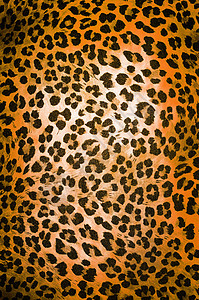 动物图案猎豹条纹平铺墙纸异国织物插图纺织品斑点老虎图片