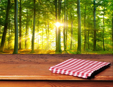 空表格帆布植物季节树叶森林木头天空百叶窗木板太阳图片