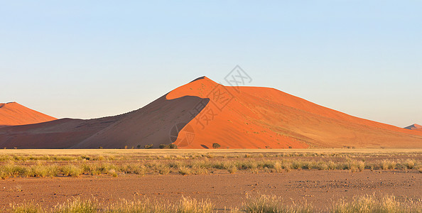 纳米比亚Sossusvlei附近草地和沙丘景观橙子荒野沙漠风景孤独干旱纳米布漫滩全景图片