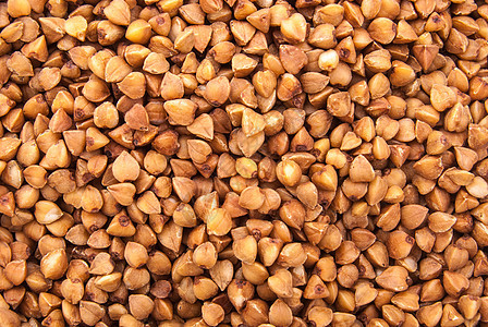 巴克热厨房种子玉米核心美食小麦植物粮食收成宏观图片