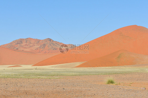 纳米比亚Sossusvlei附近草地和沙丘景观荒野沙漠漫滩干旱风景橙子纳米布孤独图片