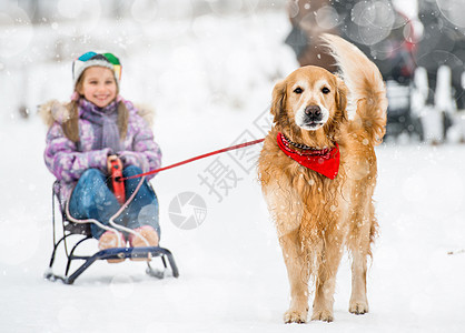 带雪橇和狗的小女孩快乐猎犬童年毛皮女孩乐趣孩子家庭帽子女性图片