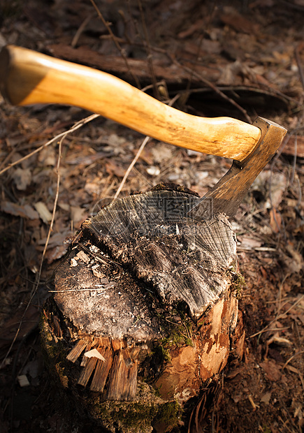 木木木中的铁斧图片