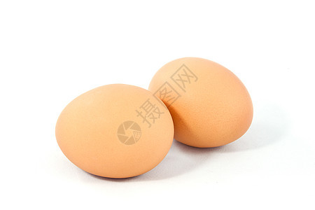 白色背景分离的两只棕蛋食物季节生物学椭圆形蛋壳脆弱性营养早餐黄色饮食图片
