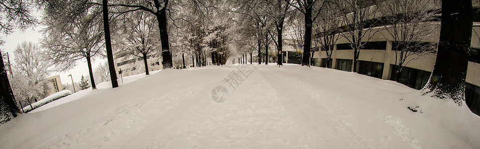 冬季暴风雨过后 雪覆盖了道路和树木薄片城市风暴图片