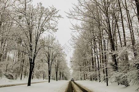 冬季暴风雨过后 雪覆盖了道路和树木城市风暴薄片图片