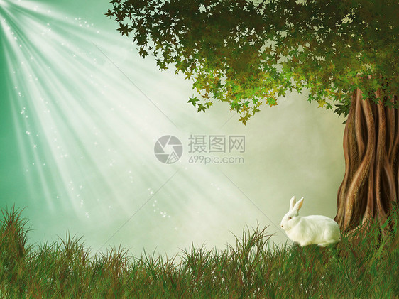 幻想景观故事饮水薄雾月亮天空场景公主兔子童话魔法图片