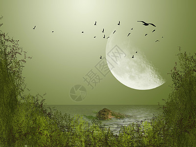 大月亮场景天空小路剪贴簿魔法岩石鸟类童话公主故事图片