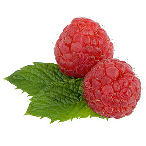 红草莓饮食红色白色种子味道植物花园沙漠覆盆子浆果图片