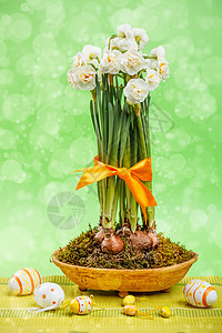 复活节装饰丝带水桶羽毛园艺植物静物绿色爱好橙子工作室图片