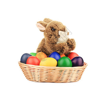 带复活节鸡蛋的篮子里有毛发狐狸兔子眼睛农场耳朵动物野兔尾巴脊椎动物木头生物红褐色图片