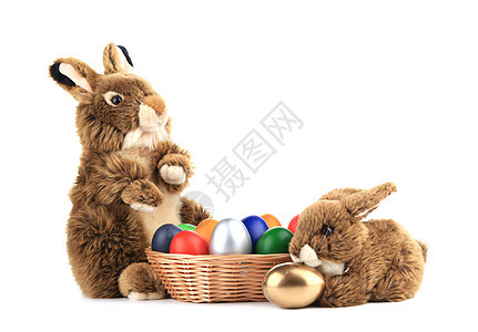 两只长毛狐狸兔子 和复活节鸡蛋放在篮子里图片