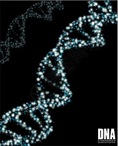 DNA摘要技术物理高分子化学生物插图克隆保健药品染色体图片