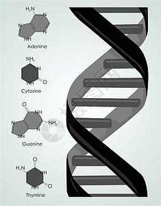 达纳螺旋遗传黑色技术图标密码图片