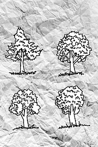 一套树 上面有压碎纸上叶子的树柚木核桃芦苇树木云杉树苗橡木板栗飞机山毛榉图片