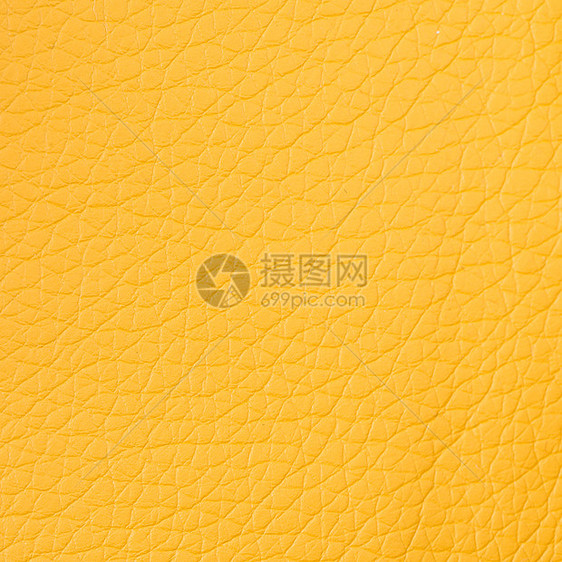 黄色皮革动物粮食橙子奢华墙纸纺织品质量宏观材料衣服图片