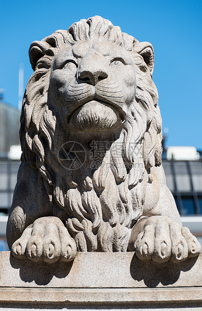 狮子雕像特写垂直图片