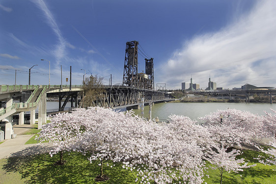 波特兰海滨樱桃花天空蓝色旅行城市季节市中心观光草地花朵花园图片