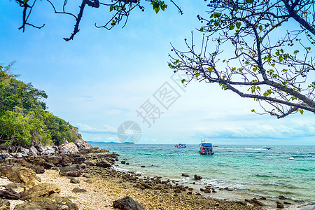 Ta Yai海滩Koh Larn的景色海滩热带天空休息海岸晴天阳光叶子游客太阳风景图片