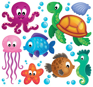 各种海洋动物1组图片