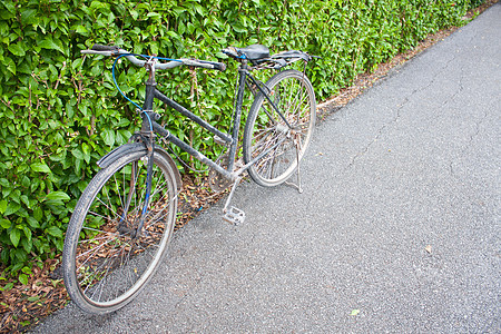 在公园里骑自行车季节草地孤独车辆地面车轮闲暇晴天运动场地图片