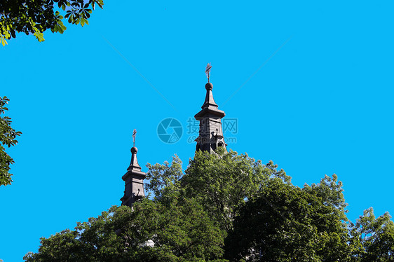 树冠上方的教堂圆顶图片