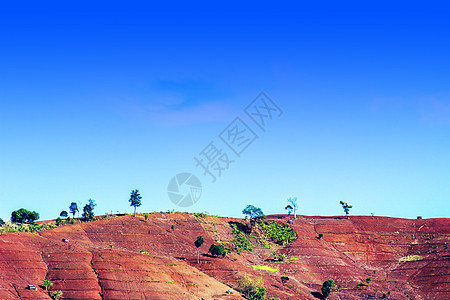 毁林破坏高地环境木头高山日志绿色植被风景高度图片