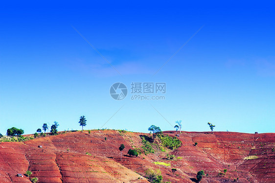 毁林破坏植被木头风景树干环境日志高山高度全球图片