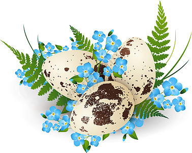 复活节Quail Egg图片