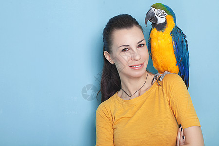 Macaw 硬体成人乐趣热带动物女孩黄色友谊朋友们金刚鹦鹉女士图片
