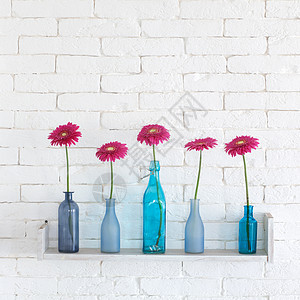 装饰架架玻璃正方形架子格柏贮存瓶子白色花朵罐子蓝色图片