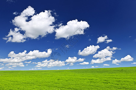 蓝天空下的绿色滚动山农村国家天空滚动农业爬坡小麦地平线农场蓝色图片
