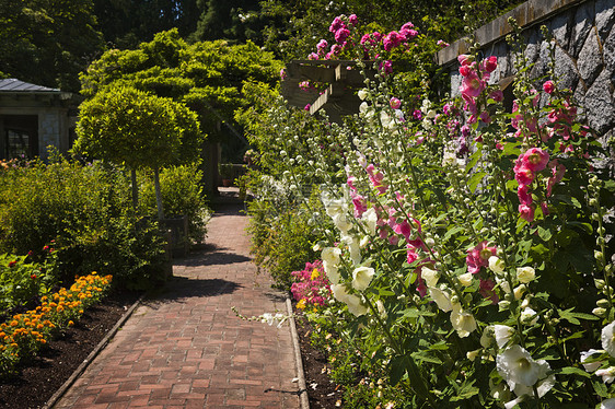 丰富多彩的花花花园美化植物砖块植物群后院园艺人行道园林石头花朵图片