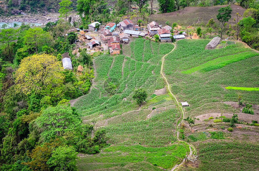 喜马拉雅山农民村和田地图片