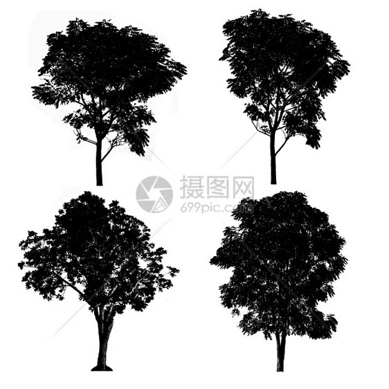 一套树影图集插图收藏剪影森林艺术植物季节白色叶子木头图片