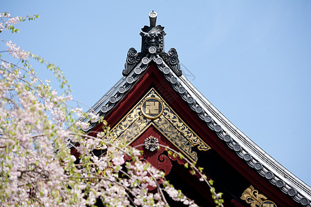 在日本神庙屋顶的蓝色天空上有详细信息橙子神道遗产旅游旅行樱花神社观光入口宝塔图片