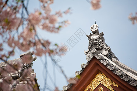 在日本神庙屋顶的蓝色天空上有详细信息观光艺术建筑学神道木头旅游神社遗产寺庙橙子图片