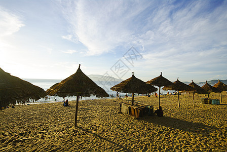 海滩景 热带 太平洋 早上椅子水池游泳奢华地平线椰子躺椅云景闲暇假期图片