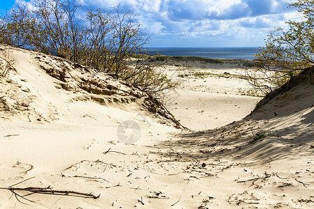 库罗尼亚湾沙丘人行道支撑海湾波浪爬坡蓝色海岸假期冲浪旅行图片