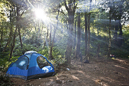 在森林中扎营帐篷季节土地射线林地踪迹阳光灯光荒野薄雾树木图片