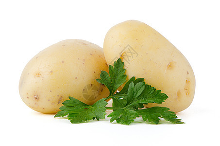 新的土豆和绿色鹦鹉糖类块茎收成淀粉烹饪香菜蔬菜营养团体植物图片