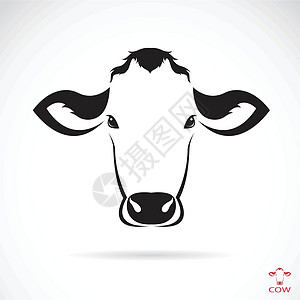 牛头矢量图像国家鼻子夹子草图卡通片农业插图农民牛肉哺乳动物背景图片