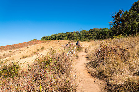 阿尔卑斯山草原的走道 蒂因纳顿 清迈国家旅游小路晴天人行道环境公园天空爬坡场地图片