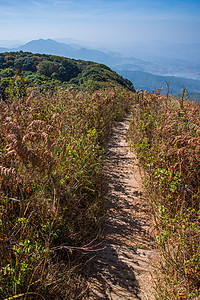 阿尔卑斯山草原的走道 蒂因纳顿 清迈宝塔天空寺庙艺术旅行土井游客国家蓝色佛塔图片