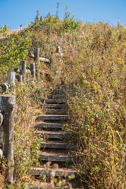 阿尔卑斯山草原的走道 蒂因纳顿 清迈公园艺术宝塔旅行佛塔土井宗教墙纸建筑游客图片