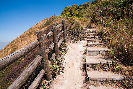 阿尔卑斯山草原的走道 蒂因纳顿 清迈佛塔寺庙游客公园艺术建筑学旅行天空历史建筑图片